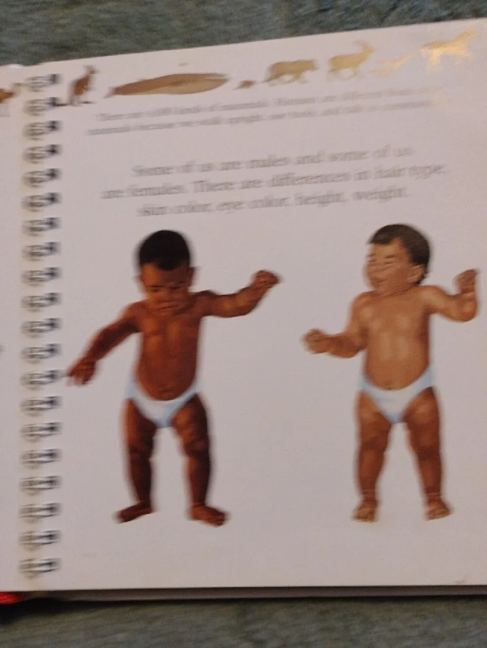 3/$15 - The Human Body